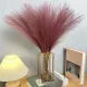10PCS Artificial Pompous Grass Pompass Branches Fake Fluffy Stems Plants Vase Filler for Home Boho Decor Flower Arrangement Ratings 9